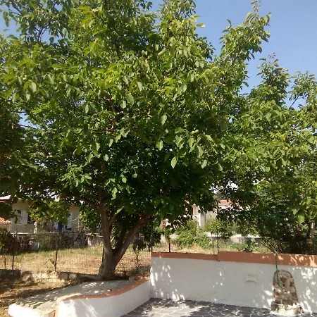 Ralloy Hoyse * Σάμη